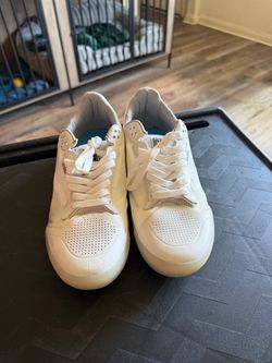 Vans limited edition