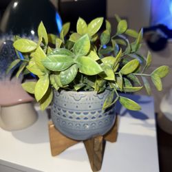 Fake House Plant 