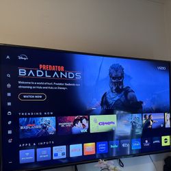 Vizio 65” Smart TV