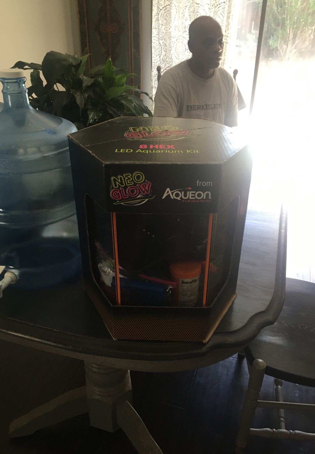 Neon glow 8 hex aquarium kit