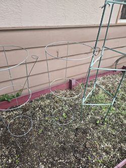 Tomato Planters Set Of 3