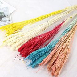 Eternal flowers are on sale for a friend's home decoration at a special price of $10 per bunch