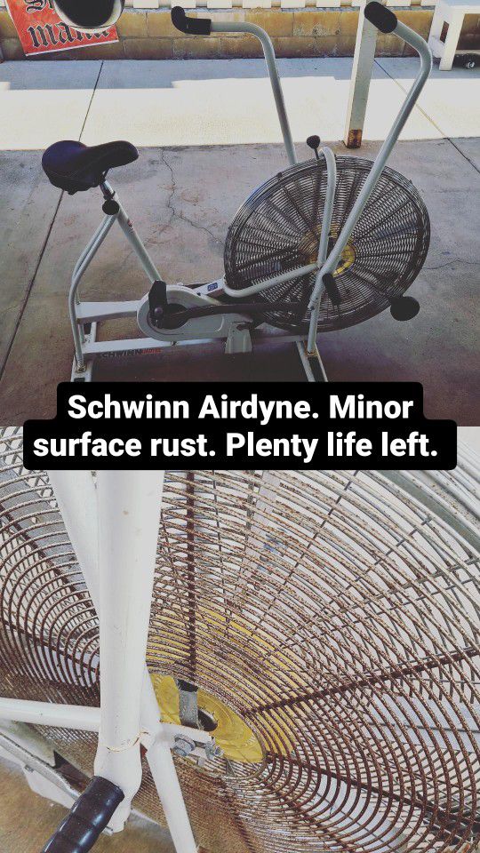 Schwinn Airdyne 