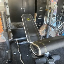 Golds Gym Bench Olympic Weights And Bar