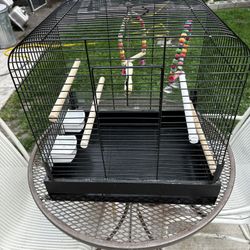 Bird Cage