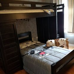 Bunk bed with chest cabinet and step storage