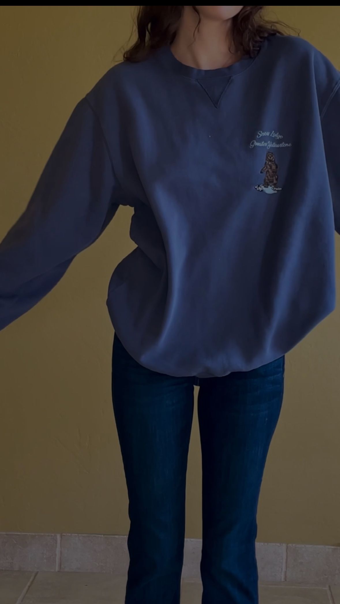 Brandy Melville Snow Lounge Greater Yellowstone Sweatshirt