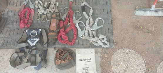 Safety harness and leads