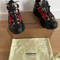 Burberry Shoes (retail $1200)