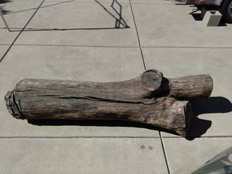 Large Wood Log