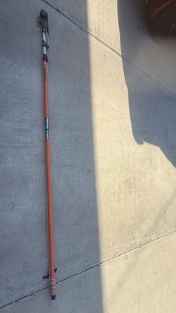 Pruning Extension Pole
