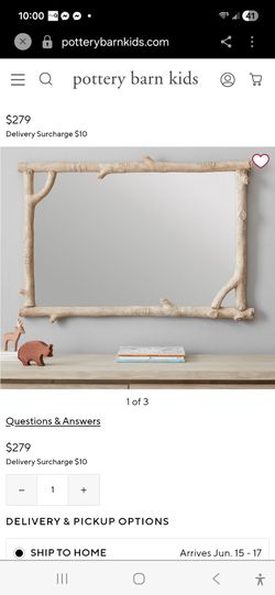 Pottery Barn Birch Mirror (25" x 36")