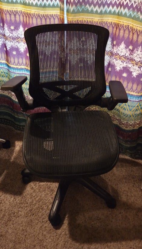 Ergonomic Office Chair