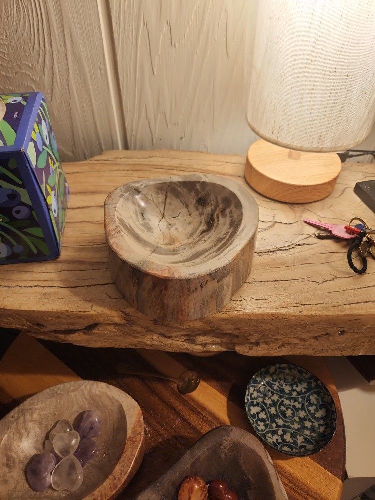 Petrified Wood Bowl Medium