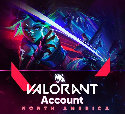 25-100 Random Skins Valorant