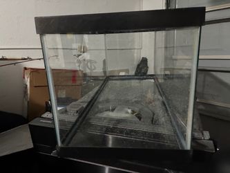 Tank with screen lid