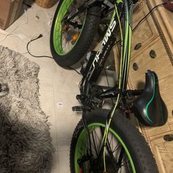 Fat Tire E-bike