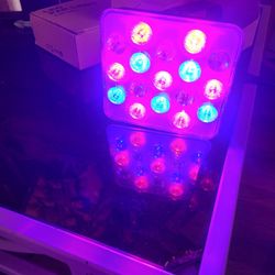 2 DJ Led Par Lights 