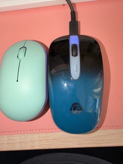 2 mouse