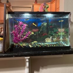 10 Gallon fish tank