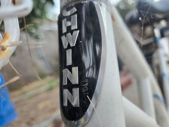 Beach cruiser bikes