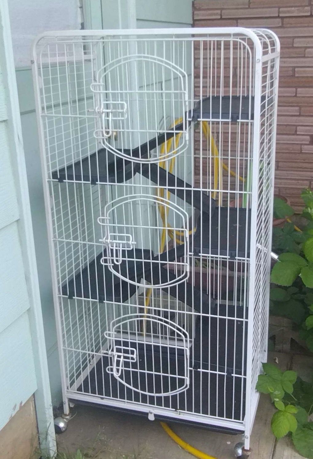 Animal cage