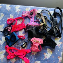 Dog Leashes 
