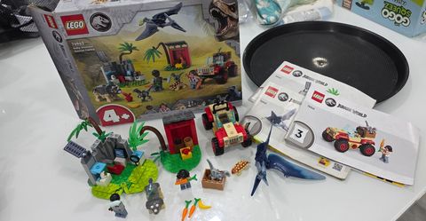 LEGO - Jurassic World™
#76963
Baby Dinosaur Rescue Center