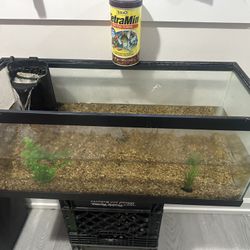 20gall Long Fish Tank 