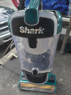 Shark
