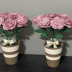 Valentines Day Roses
