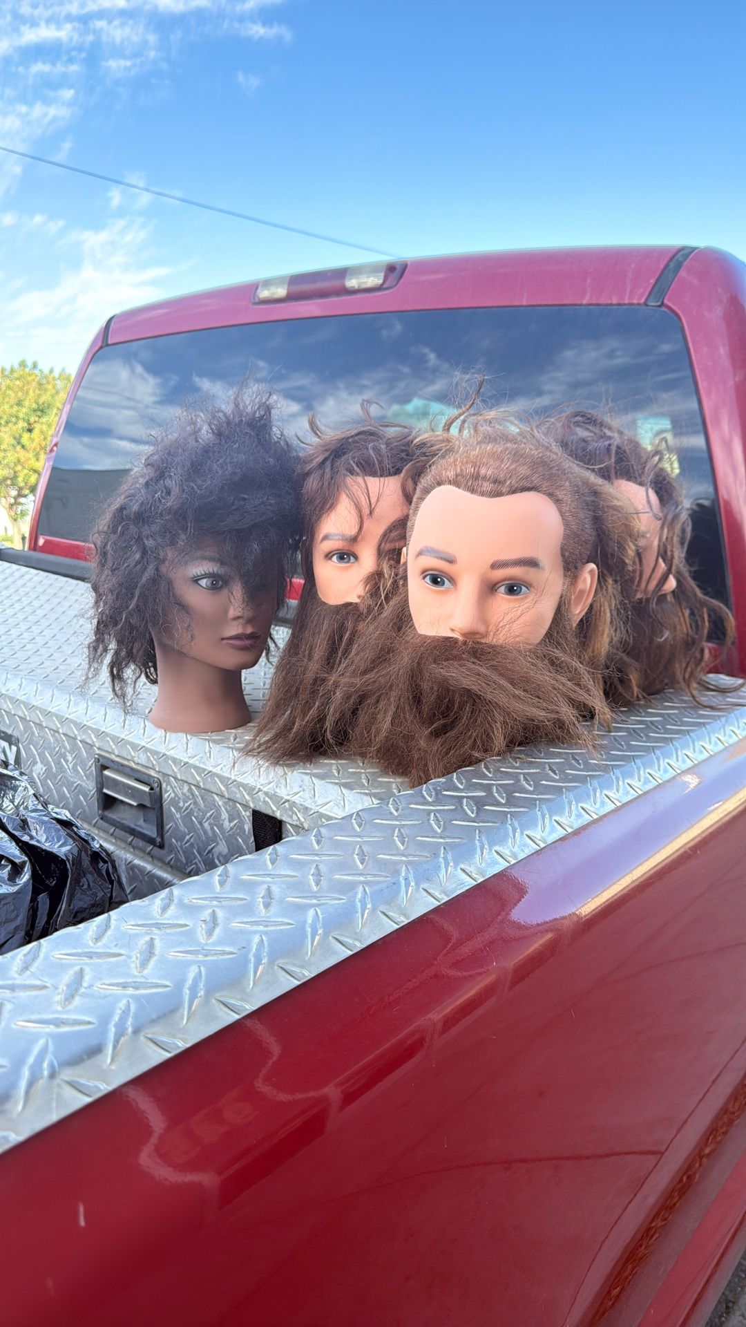 Mannequin Heads FREE