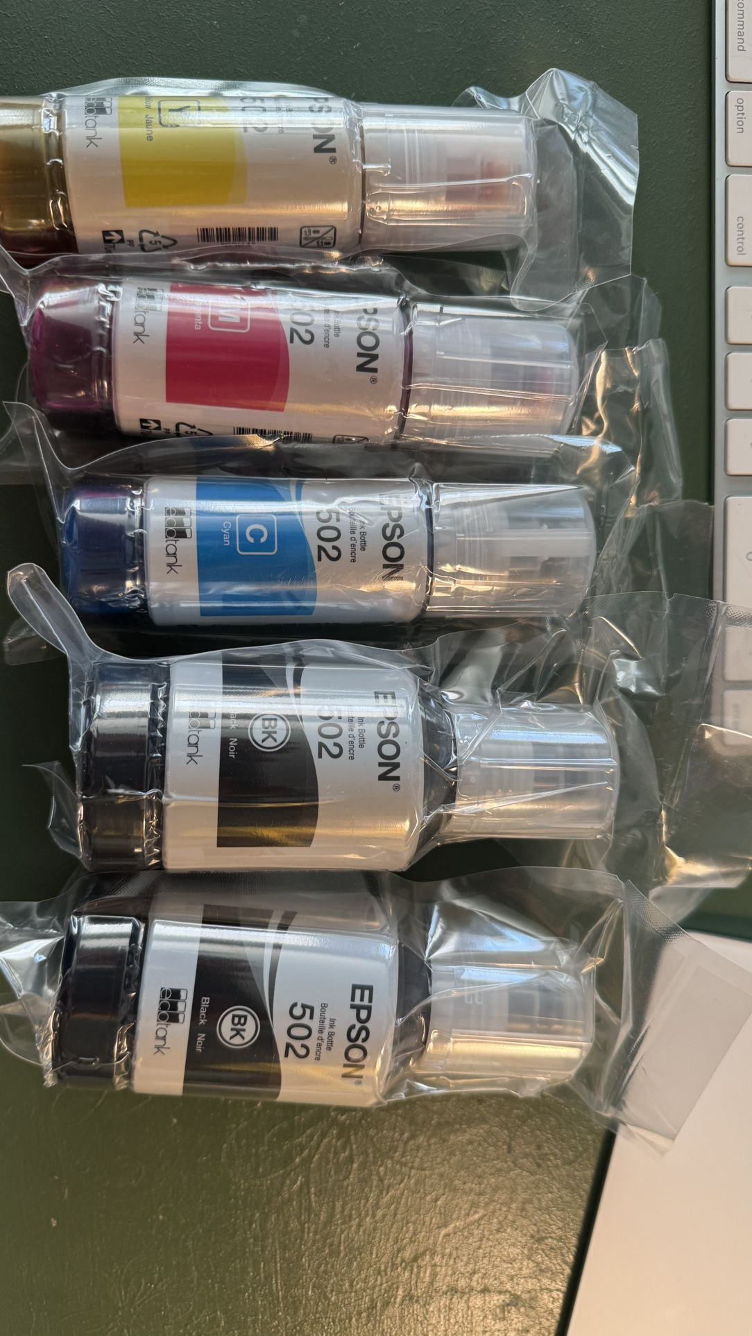 Epson 502 Ink