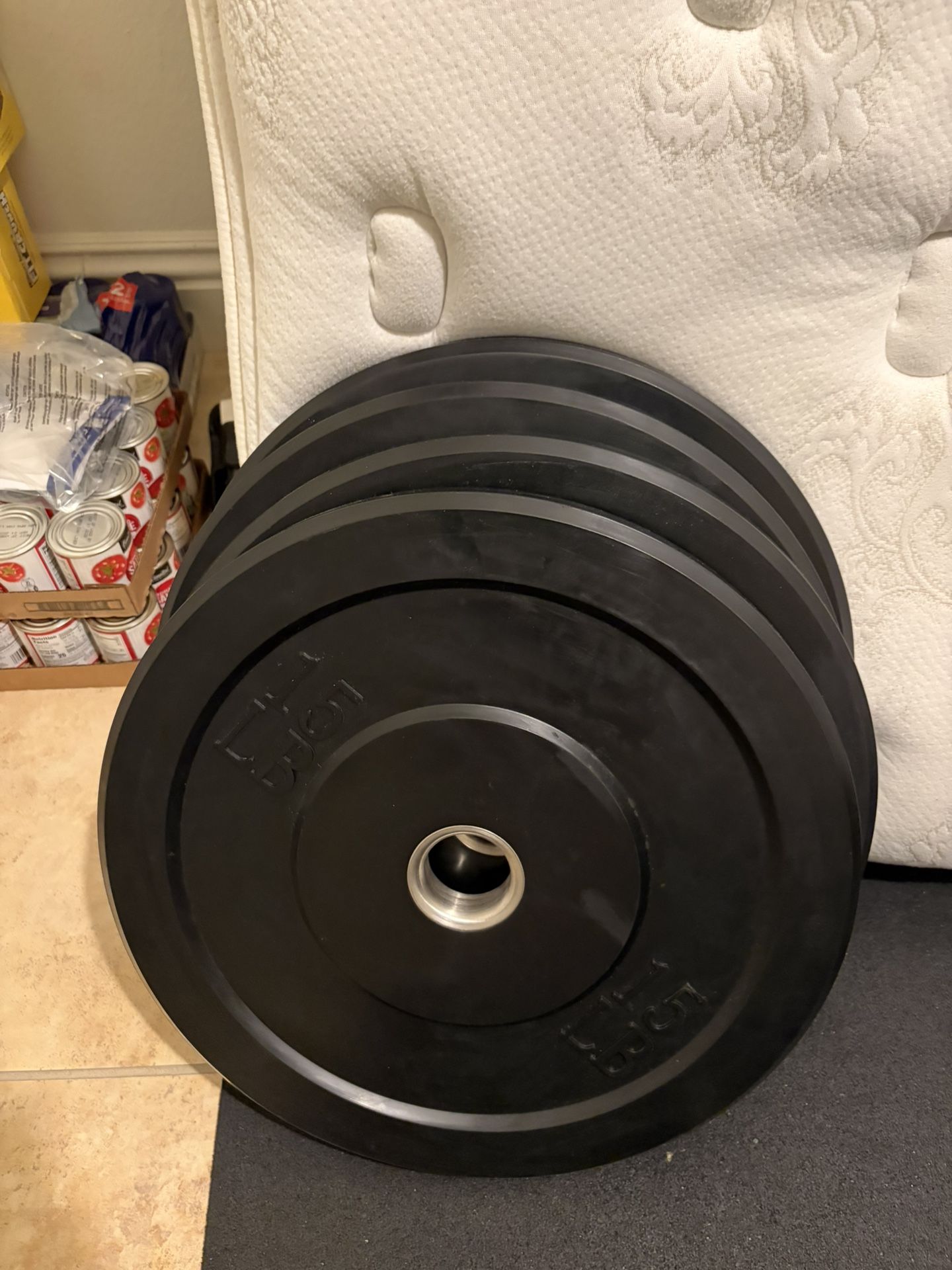 Weight Plates (520 Total Pounds )