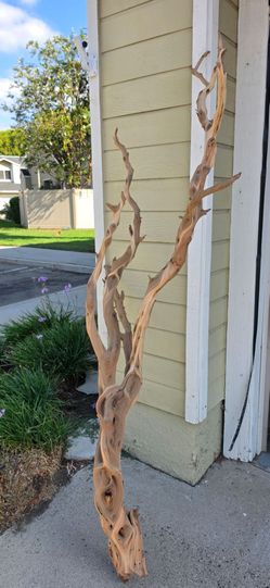 6-Foot Sandblasted California Driftwood – Natural & Unique