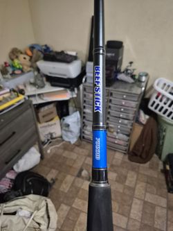 Daiwa Beefstick rod