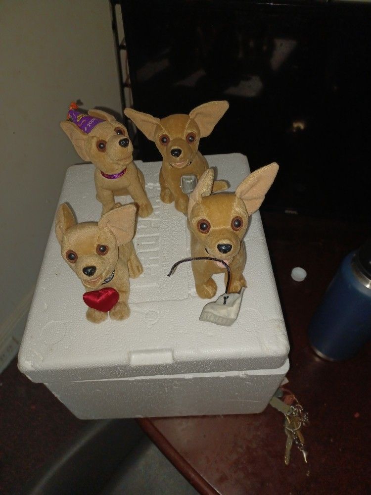 Taco Bell Dogs ...............make A Offer