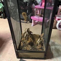 Tanks for trade or sale