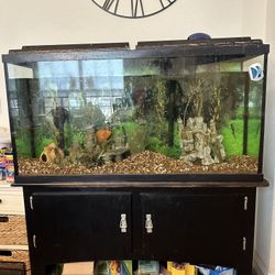 Reptile Tank And Stand 