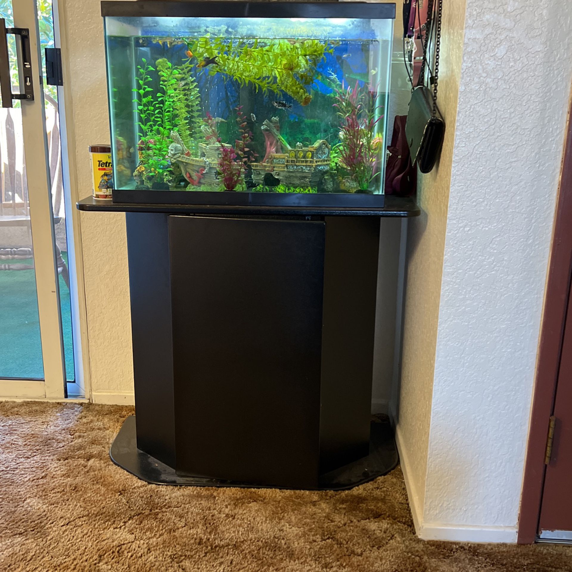 20 Gallon Fish Tank With Stand Black
