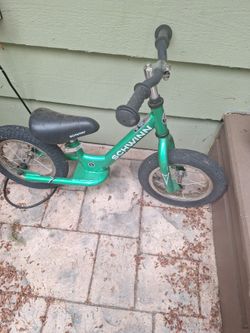 Schwinn Push Bike