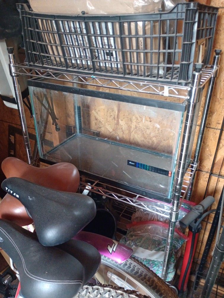 3 Fish Tanks 10 And 20g  