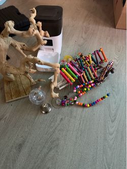 Bird accessories