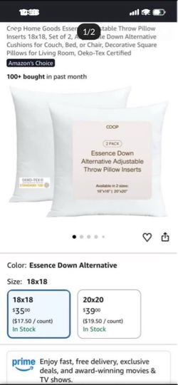 COOP Goods Essence Adjustable Throw Pillows ( Set of Two )