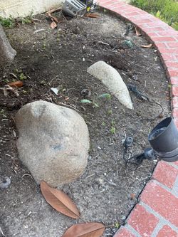 Garden Rocks