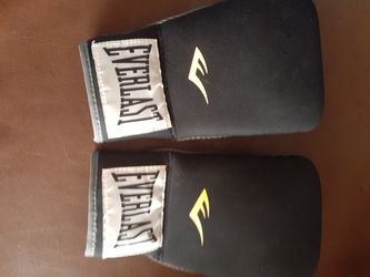 Everlast Grappling Gloves