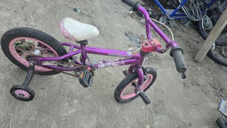 tony hawk 16 inch BMX w training wheels 