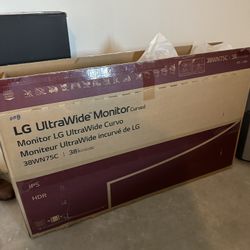 LG Ultrawide 38" Monitor