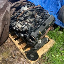 4.6 Mustang Engine 