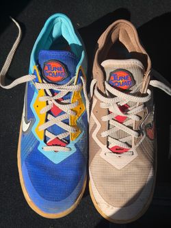 Nike LeBron 18 Low Wile E vs. Roadrunner space jam sneakers